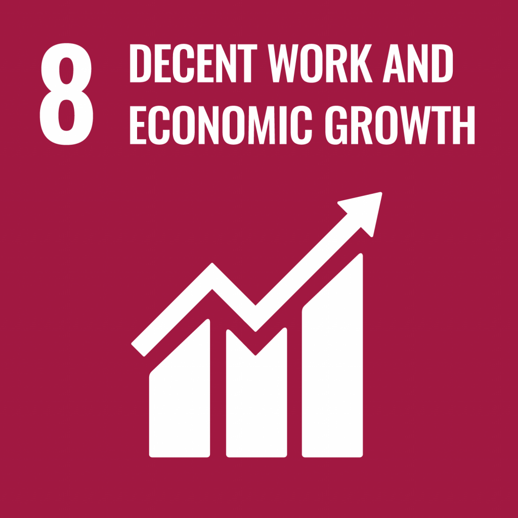 Perseguiamo l'8° SDGs dell'ONU: Promote sustained, inclusive and sustainable economic growth, full and productive employment and decent work for all