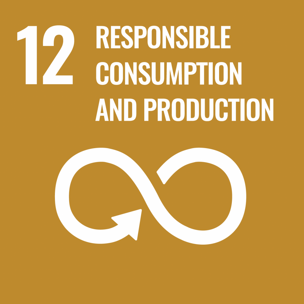 Perseguiamo il 12° SDGs dell'ONU attraverso le nostre attività sul territorio che parla di: Ensure sustainable consumption and production patterns