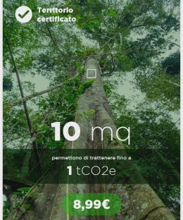 L'Amazzonia è in grave crisi a causa della deforestazione. Adotta ora 10mq di foresta con LetItTrees e contribuisci a salvare il polmone verde del pianeta!