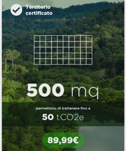 L'Amazzonia è in grave crisi a causa della deforestazione. Adotta ora 500mq di foresta con LetItTrees e contribuisci a salvare il polmone verde del pianeta!
